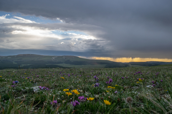 Bighorn National Forest