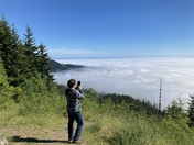Olympic National Park: Hurricane Ridge