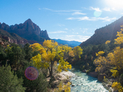 Zion National Park