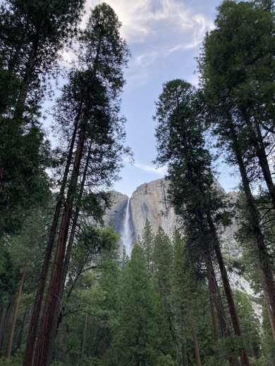 Yosemite National Park: Yosemite Falls