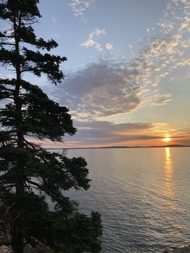 Acadia National Park: Ocean Path Sunrise