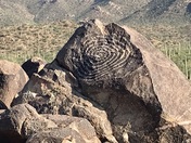 Saguaro National Park