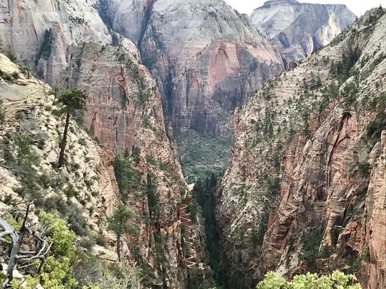 Zion National Park
