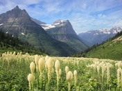 Glacier National Park