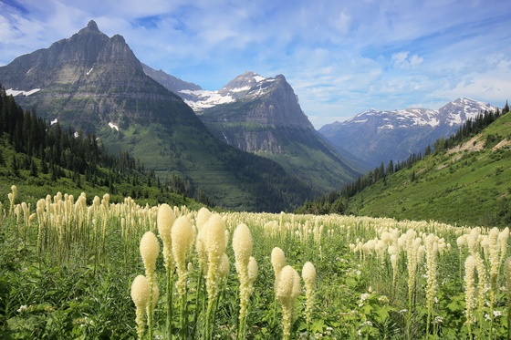 Glacier National Park