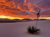 White Sands National Park