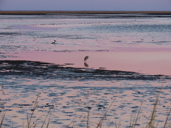 Bombay Hook National Wildlife Refuge