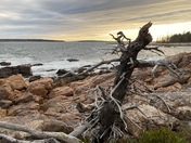 Acadia National Park
