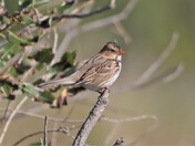 An amazing variety of bird life.