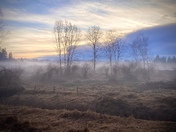 Fog At sunset