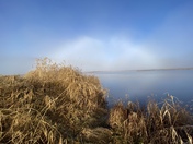 Fogbow