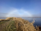 Fogbow