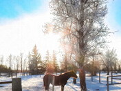 I Pulled Over for This