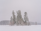 Deep Freeze