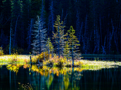 In Darkness I shall be light