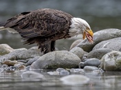 Down the Hatch