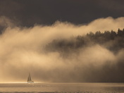 Morning Light