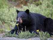 Take time to stop and smell the flowers