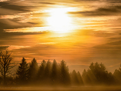 Foggy Sunrise