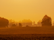Golden hour on fall field