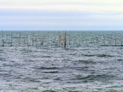 Fishing Weir