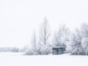 When Winter Makes Magic