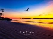 Sunset at Tofino Beach