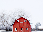The Red Barn