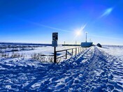 Lake Nipissing in January