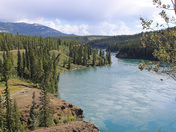 Yukon Beauty