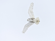Take off