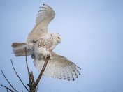Stick the landing