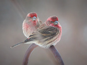 Waiting for the next move