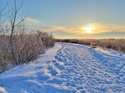 Beautiful Morning at Oak Hammock Marsh