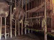 Fifteenth-Century Iroquoian Longhouse (#2)