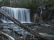 Hoggs Falls and Fallen Trees