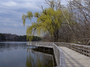 Kelso Lake Boardwalk: A Springtime Stroll
