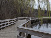 Kelso Lake Boardwalk (#3)