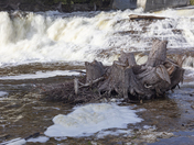 McGowan Falls Scenes