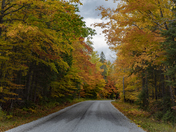 The Road to Autumn (#2)