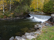 Sylvan Ontario