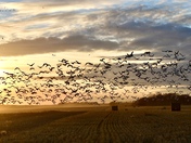 Prairie autumn