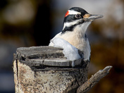 My Closeup