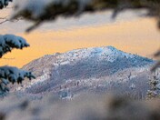 Early morning scenery