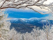 Early morning scenery