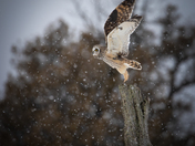 Flight Take-off 