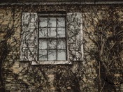 If only the walls could talk 