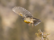 Take Off