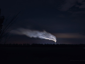 Environmental Toxins