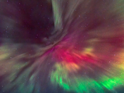 The Phoenix flies...